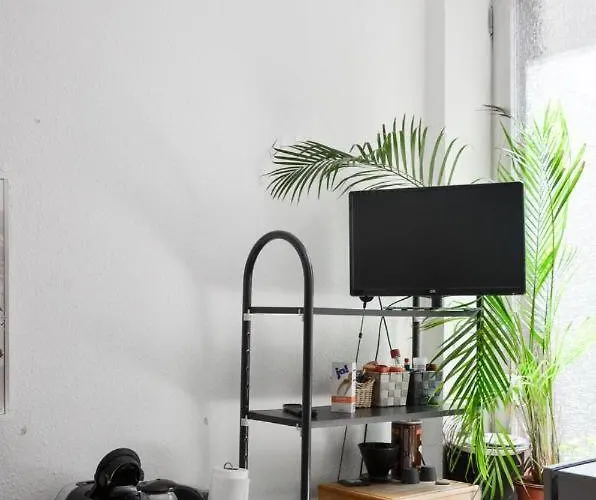 Center Altstadt Trier